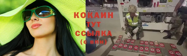 дживик Нягань