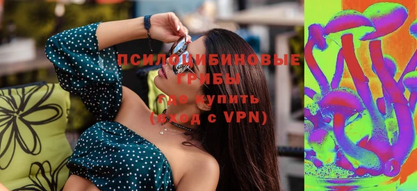 амф Няндома