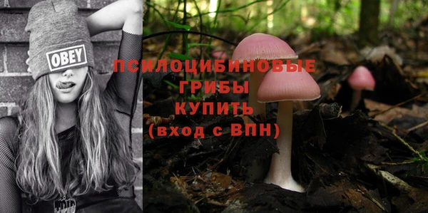 дживик Нягань