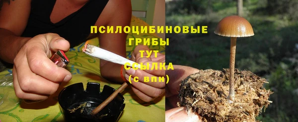 амф Няндома
