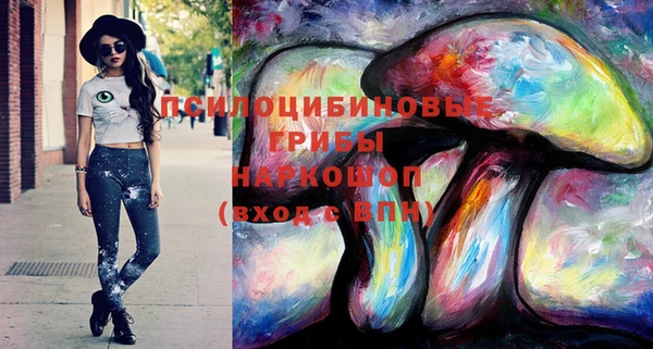 амф Няндома